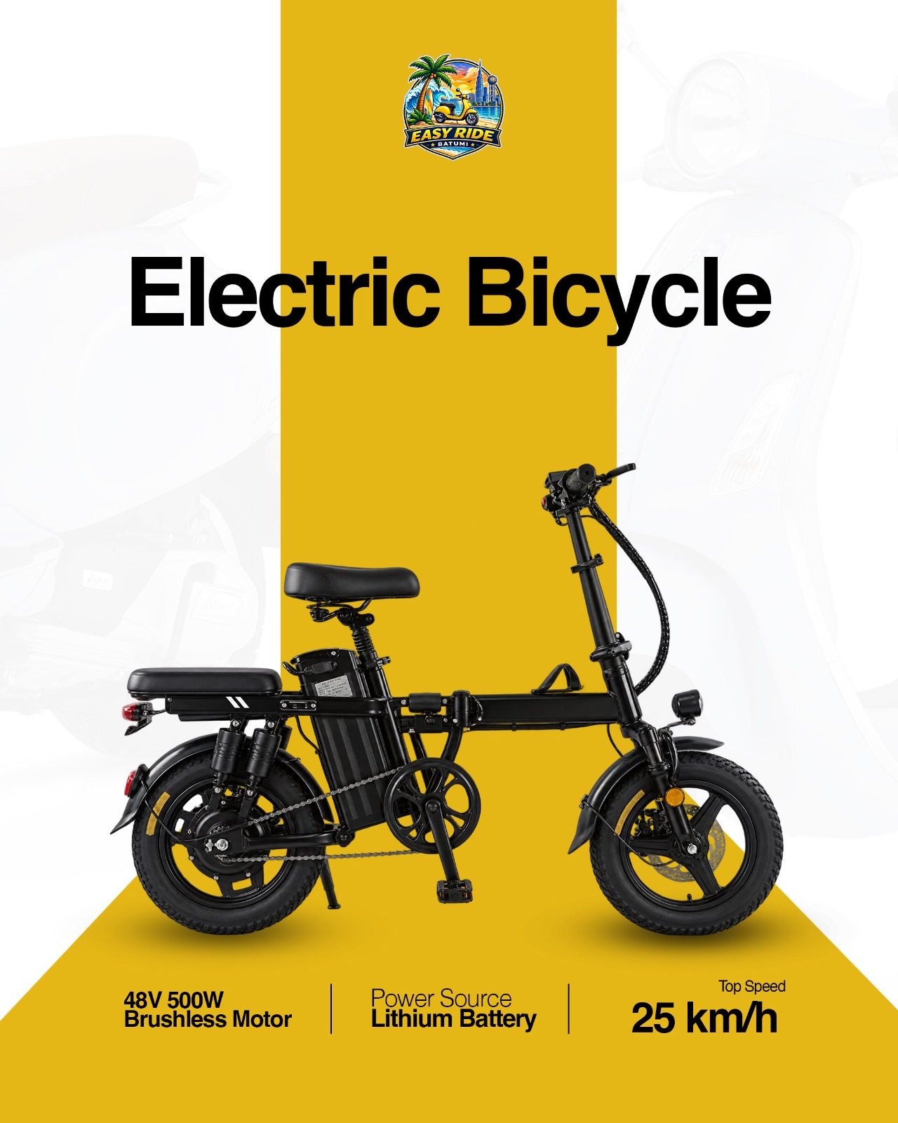 Electric Bicycle 